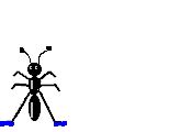 Free Ant Gifs - Animated Ants - Clipart