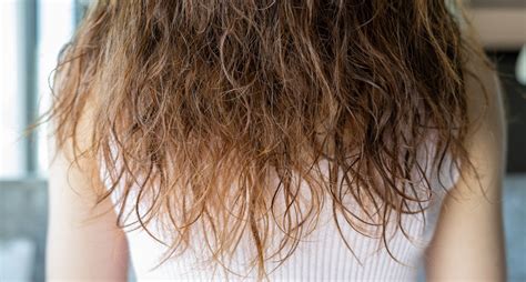 How to Fix Damaged Hair in 11 Steps - PureWow