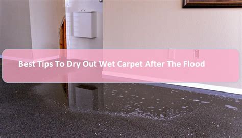 Best Tips To Dry Out Wet Carpet After The Flood | Southern Carpet Cleaning