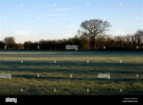 Winterbourne Gloucestershire England UK Stock Photo - Alamy