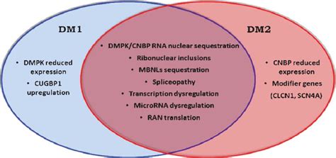 Common and specific postulated pathological mechanisms underlying... | Download Scientific Diagram