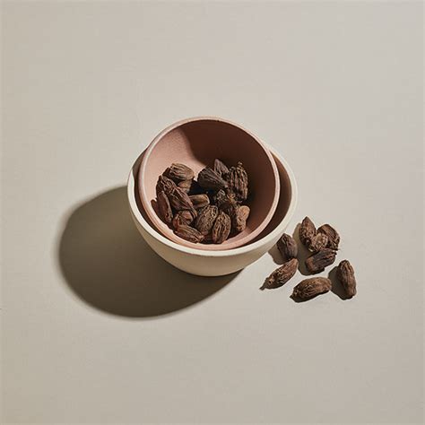 Black Cardamom Pods - The Spice House