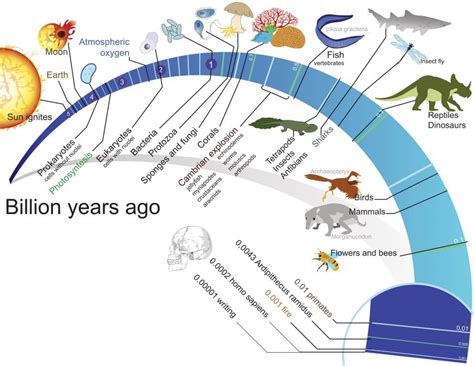 Origin and Evolution of Life on Earth - PMF IAS