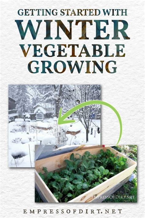 How To Grow Vegetables Outdoors in The Winter — Empress of Dirt