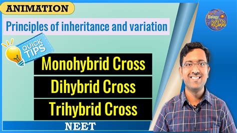 Monohybrid , Dihybrid and Trihybrid Cross I NEET I Dr Kunal Tatte (KT ...