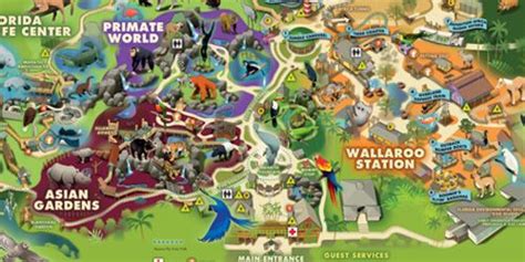 Zoo Info and Directions for Visiting Tampa's Lowry Park Zoo | Zoo map, Tampa zoo, Zoo