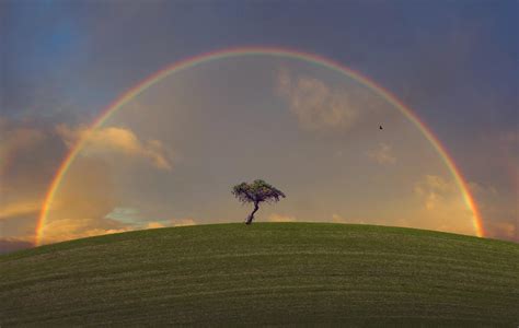 Rainbows in Colour - Nature photo contest | Photocrowd photo ...