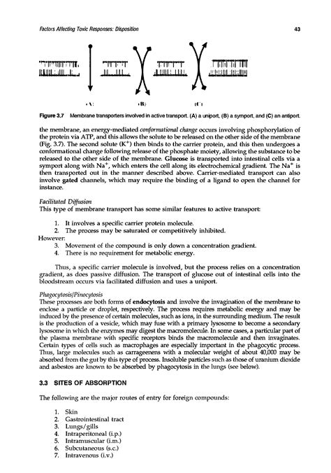 Transport uniport - Big Chemical Encyclopedia