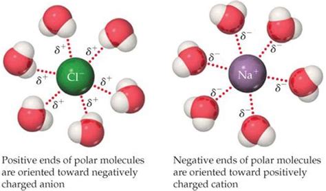 INTERMOLECULAR FORCES - LIQUIDS AND INTERMOLECULAR FORCES - CHEMISTRY THE CENTRAL SCIENCE