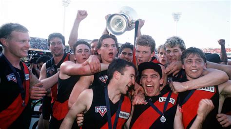 Only 13 Essendon 1993 AFL premiership players attended 25-year reunion | AFL | Sporting News