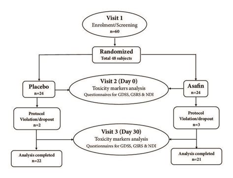 Cohort diagram showing study design. | Download Scientific Diagram