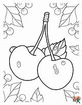 20 Cherry Coloring Page sketch template