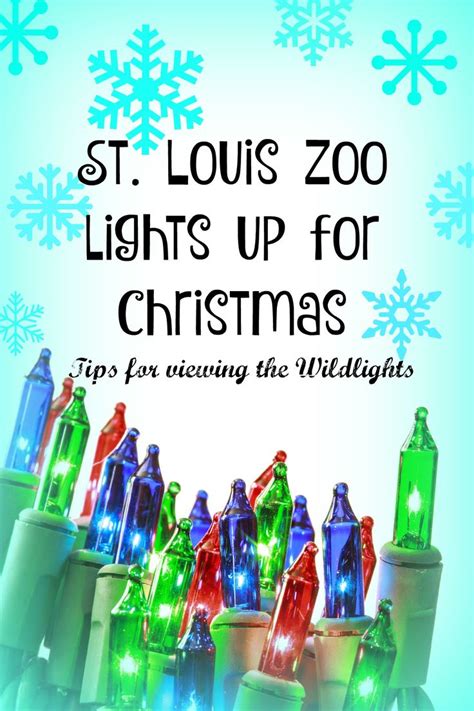 Wild Lights: St. Louis Zoo lights up for Christmas | Zoo lights, St ...