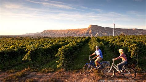 Business@Leisure: Wine tasting by bicycle in Palisade, Colorado - Colorado Wine