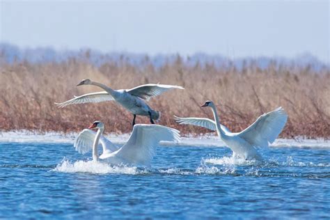 Baotou Weather & Best Time to Visit Baotou, Inner Mongolia, China 2024