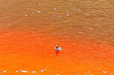 CYPRUS - THE RED LAKE | The red lake near Mitsero village - … | Flickr