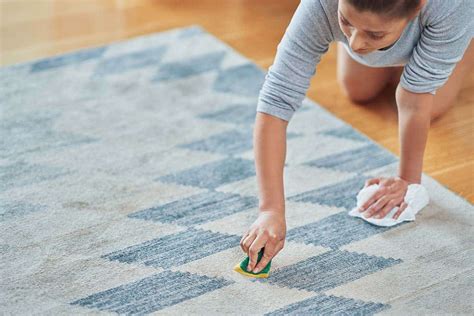 How to Shampoo a Carpet - Crystal Carpet Cleaners