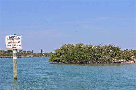 Bird Island - Critical Wildlife Area | FWC photo by Tom Rein… | Flickr