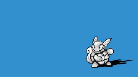 Wartortle Wallpapers - Top Free Wartortle Backgrounds - WallpaperAccess