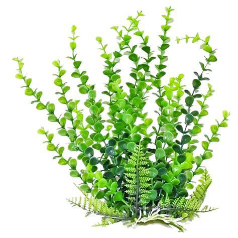 Plants clipart man, Plants man Transparent FREE for download on WebStockReview 2024