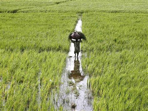 Tunnel farming: Pakistan slow to adopt technology | The Express Tribune