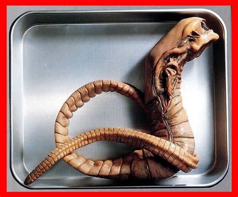 Life Size ALIEN CHESTBURSTER 1/1 Sci Fi Movie Props vinyl model kit , diy model for Hobbies ...