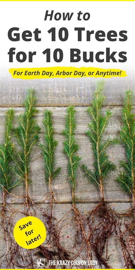 Free Trees for Earth Day and Arbor Day 2023 | Arbour day, Arbor day ...