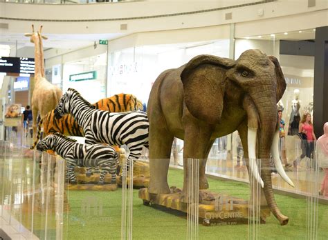 City Centre Beirut brings the Animals Exhibition to Beirut for the first time. Exclusive Real ...