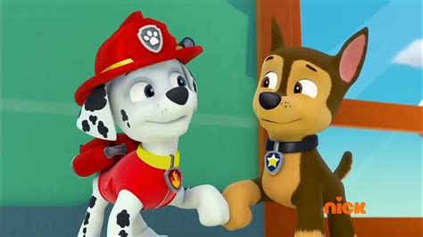 paw patrol friendship day song - YouTube