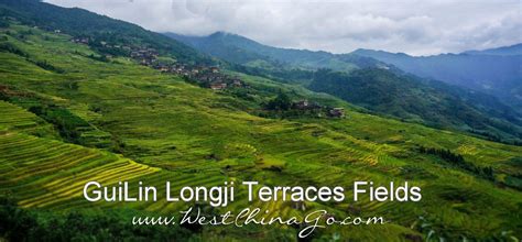 GuiLin Longji Rice Terraces Fields - china chengdu panda holding,chengdu panda volunteer program