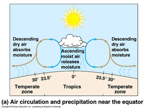 WEATHER- THE HADLEY CELL Flashcards | Quizlet