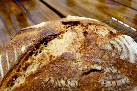 Barley and Wheat Bran Miche - Sourdough