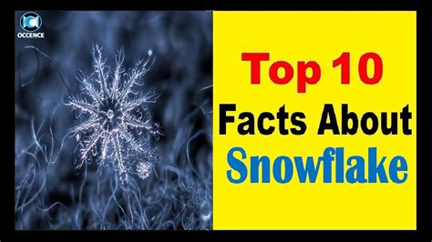 Snowflake - Facts - YouTube