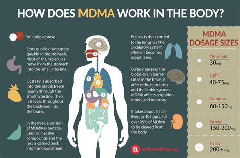 MDMA's Effects : r/Infographics