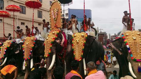 Free stock photo of Kerala Festival, Thrissur Pooram