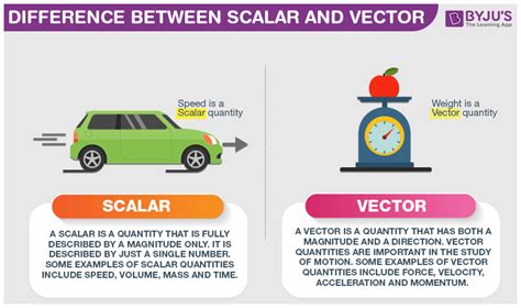 Difference Between Scalar and Vector with its Practical Applications in ...