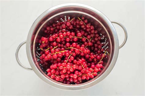 Red Currant Jelly Recipe