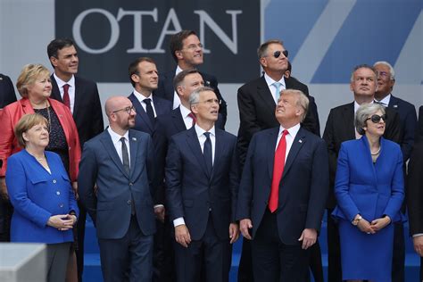 “He Chooses the Hammer Every Time”: NATO Left Fuming as Trump Turns ...