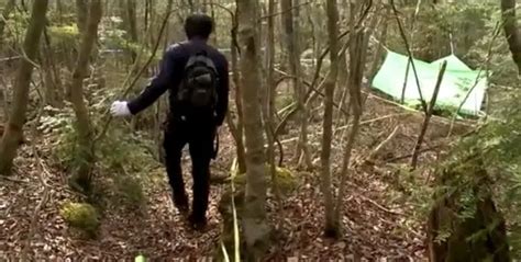 2010 Vice Documentary Explores Aokigahara, Japan's Suicide Forest