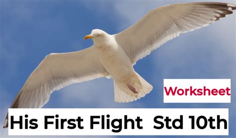 Std.10 | His First Flight | - English With PK99