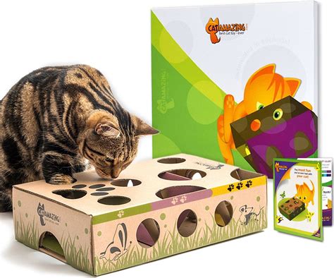 Cat Amazing Best Cat Toy Ever! Interactive Treat Maze & Puzzle Toy - Chewy.com