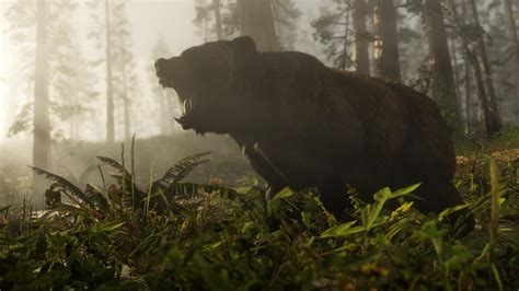 American Black Bear | RDR2 Animals | Map Location & Where To Find