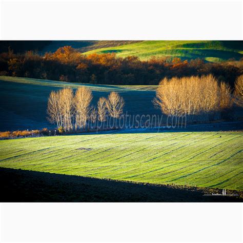 Crete Senesi - A Landscape Through The Seasons