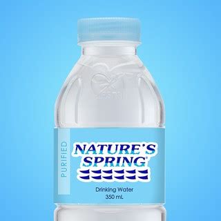 Nature's Spring Purified Water 350 mL | Shopee Philippines