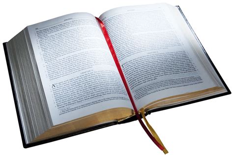 The Word Bible Software Christianity The Message God - Bible PNG png download - 850*565 - Free ...