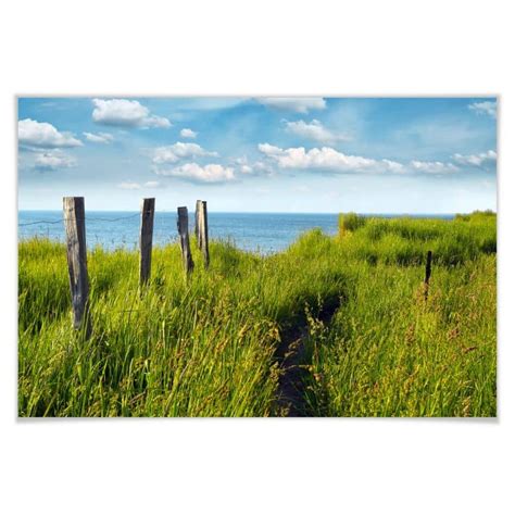 Poster - Sentiero per il mare | wall-art.it