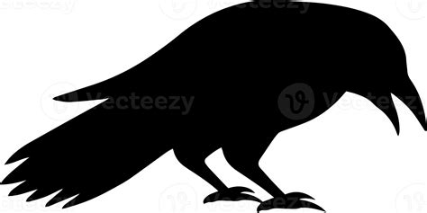 Crow Silhouette Halloween