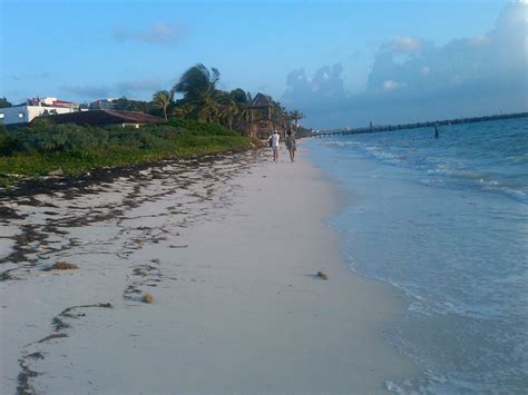 Beaches in Puerto Morelos - Puerto Morelos Forum - TripAdvisor