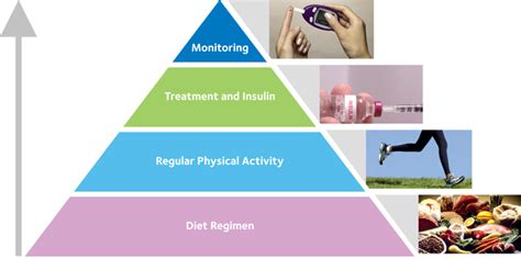 Type 2 Diabetes Treatment Options Explained - HealthNormal