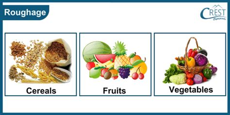 Components of Food and preservation of food Class 4 Notes | Science Olympiad